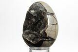 Septarian Dragon Egg Geode - Sparkly Black Crystals #356162-1